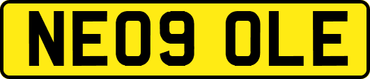 NE09OLE