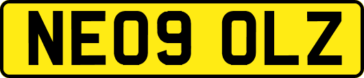 NE09OLZ