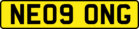 NE09ONG