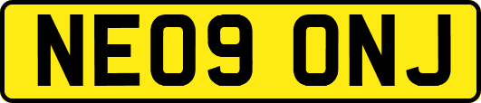 NE09ONJ