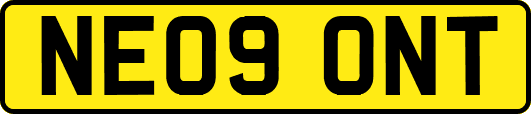 NE09ONT