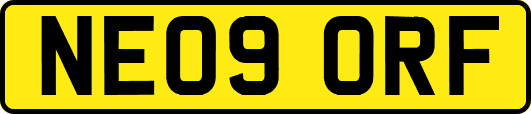 NE09ORF