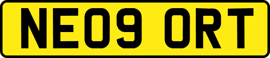 NE09ORT