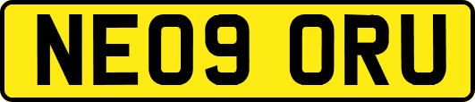 NE09ORU