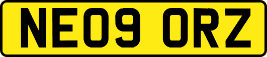 NE09ORZ