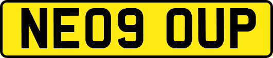 NE09OUP