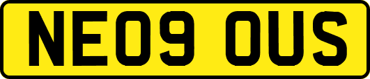 NE09OUS