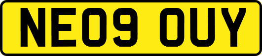 NE09OUY