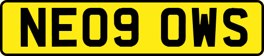 NE09OWS