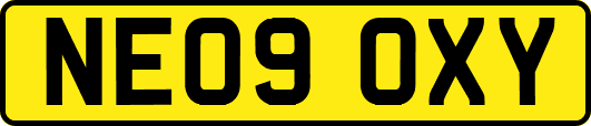 NE09OXY