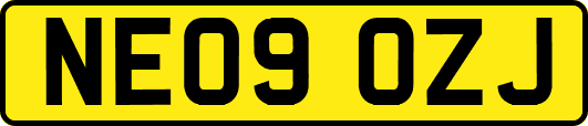NE09OZJ