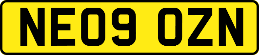 NE09OZN