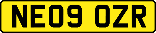 NE09OZR