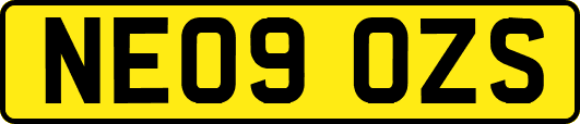 NE09OZS