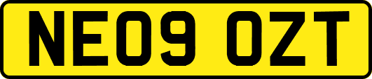 NE09OZT