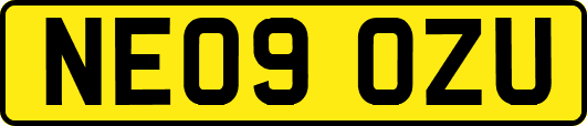 NE09OZU