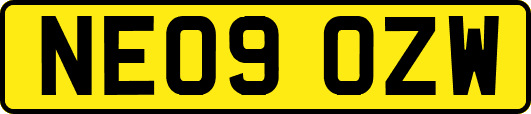 NE09OZW