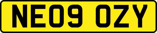 NE09OZY
