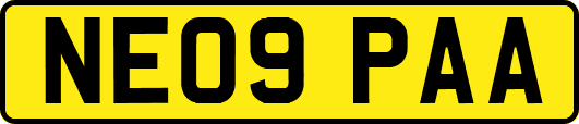 NE09PAA