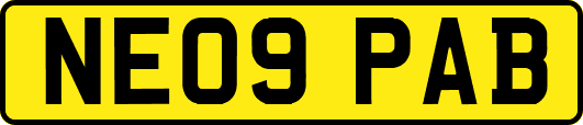 NE09PAB