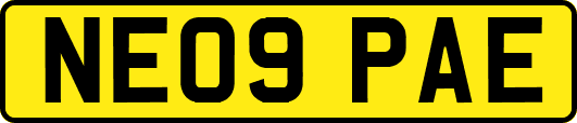 NE09PAE