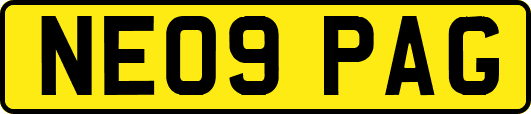 NE09PAG