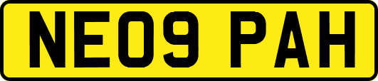 NE09PAH