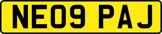 NE09PAJ