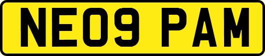 NE09PAM