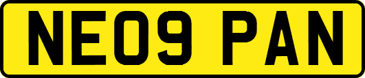 NE09PAN