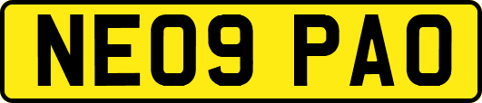 NE09PAO