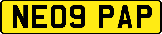 NE09PAP