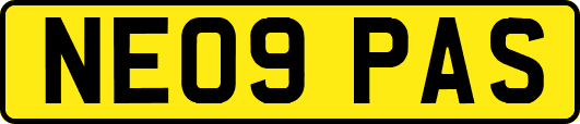NE09PAS