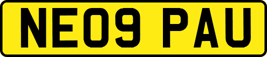 NE09PAU