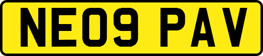 NE09PAV
