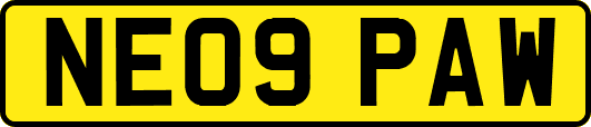 NE09PAW