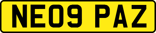 NE09PAZ