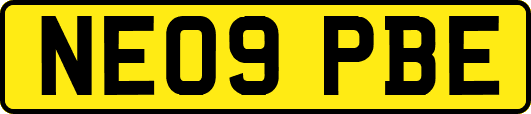NE09PBE