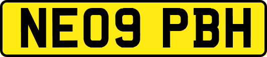 NE09PBH