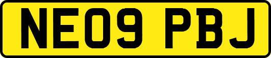 NE09PBJ