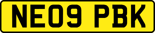 NE09PBK