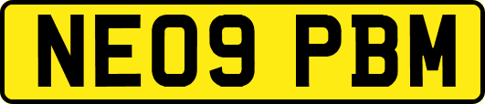 NE09PBM