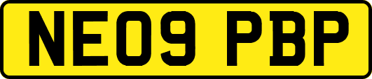 NE09PBP