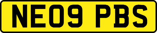 NE09PBS