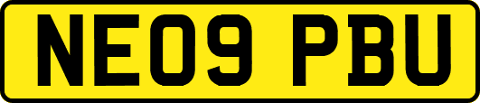 NE09PBU