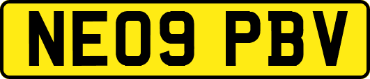 NE09PBV