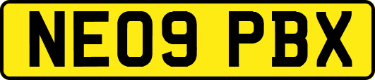 NE09PBX