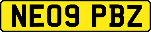 NE09PBZ