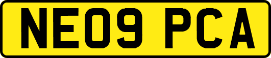 NE09PCA