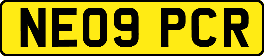 NE09PCR